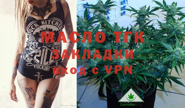 шишки Медвежьегорск