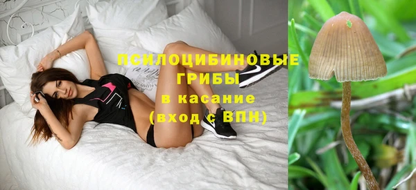 молекула духа Алексеевка